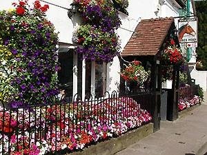 Flowers Outside The Nags Head