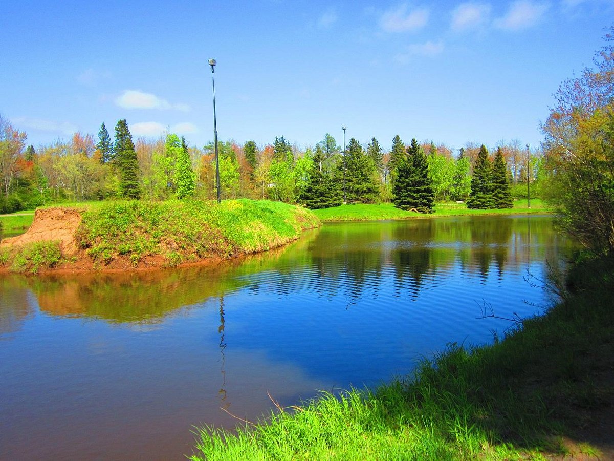 THE 10 BEST Hotels in Moncton, New Brunswick 2024 (from $63) - Tripadvisor