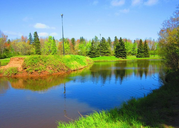 Another view of the pond