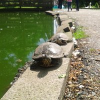 Knoxwood wildlife