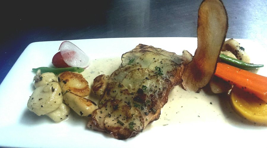Salmon