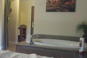 Room & Suite