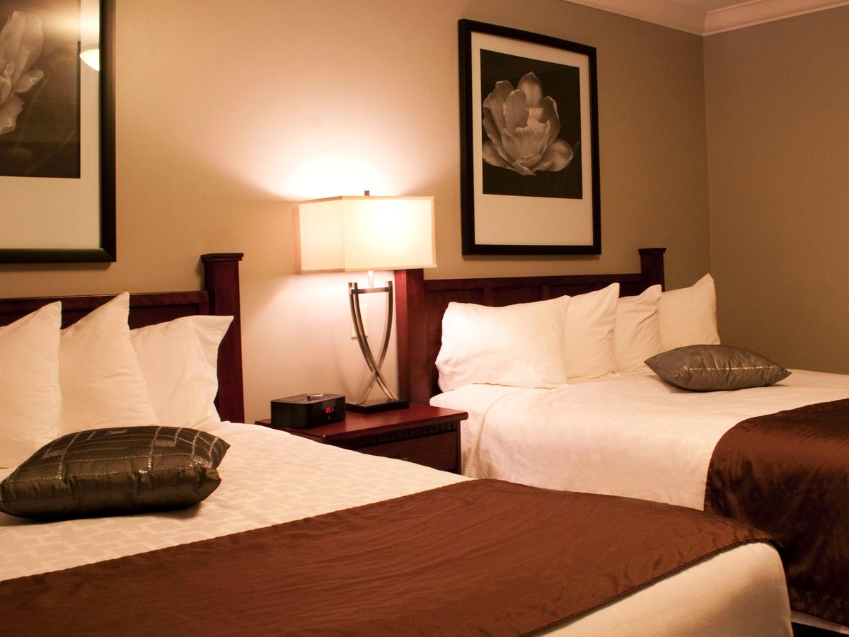 hotels near willow bend country club