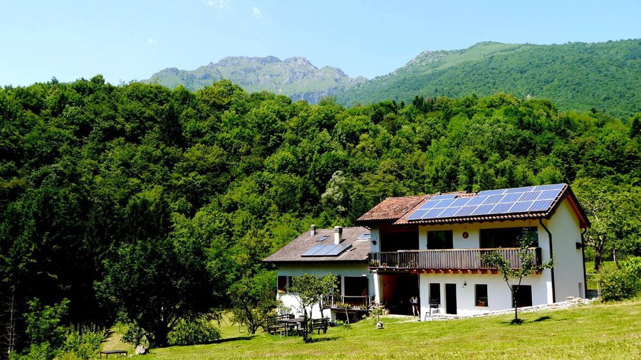 dentro il bosco