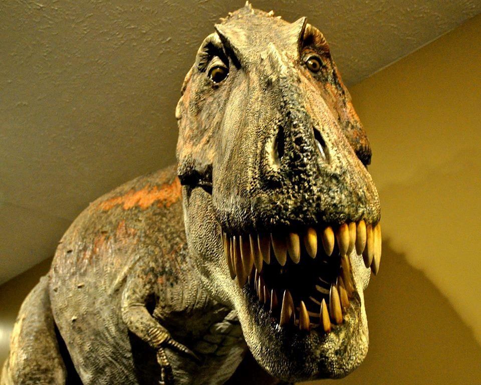 Brighouse 'Roarsome' Dinosaur Fortnight - Visit Calderdale