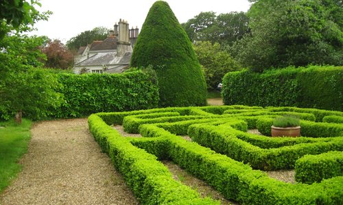 The maze