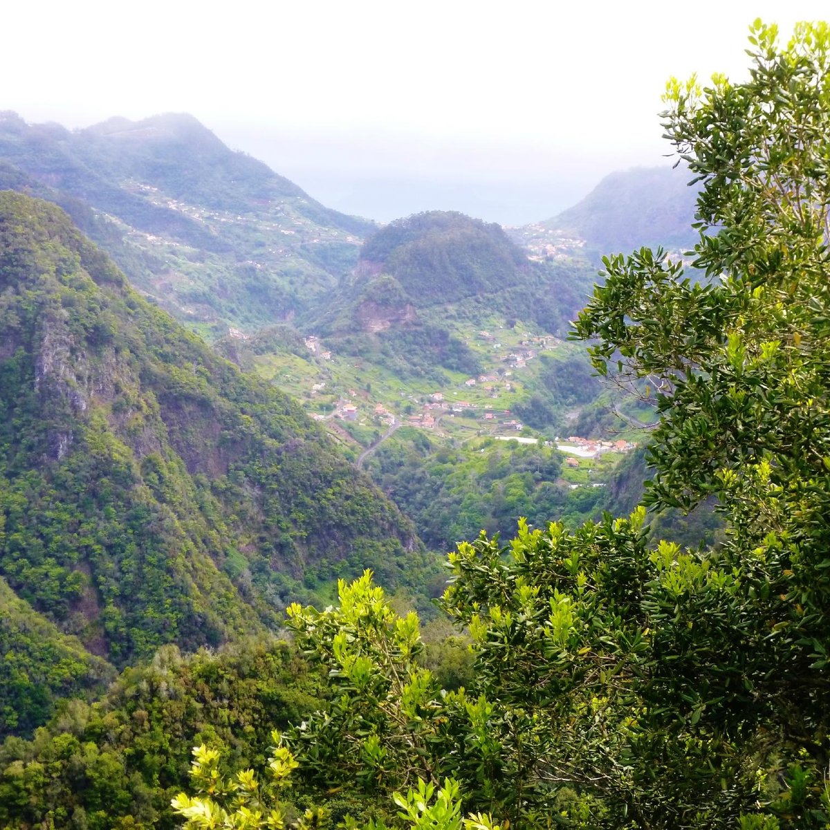 Laurissilva Forest, Мадейра: лучшие советы перед посещением - Tripadvisor