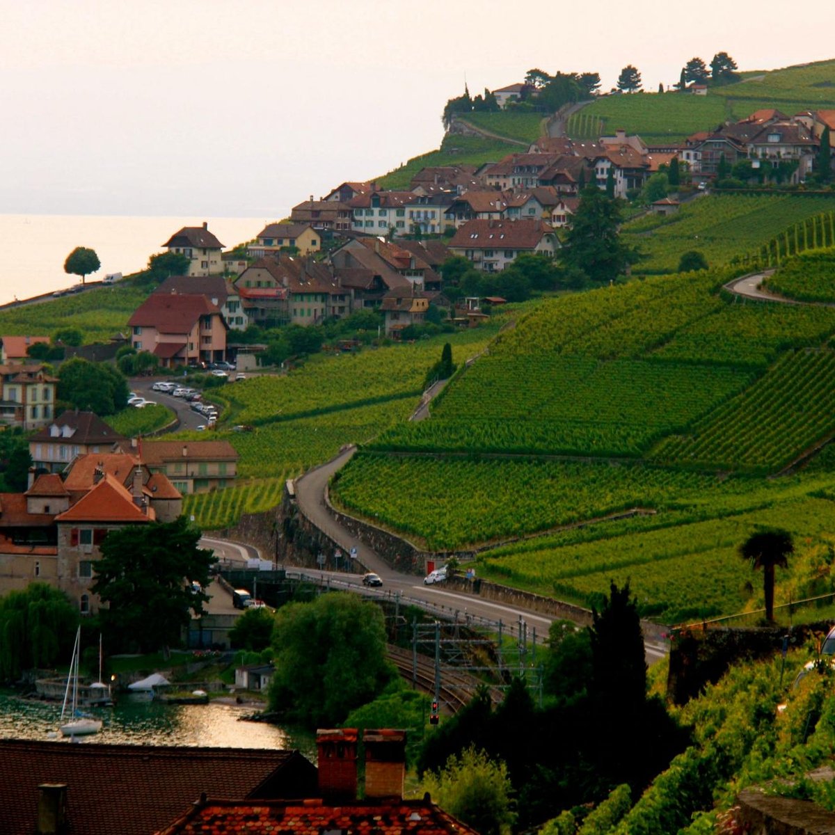 Lavaux Швейцария