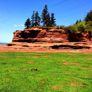 annapolis valley travel reviews
