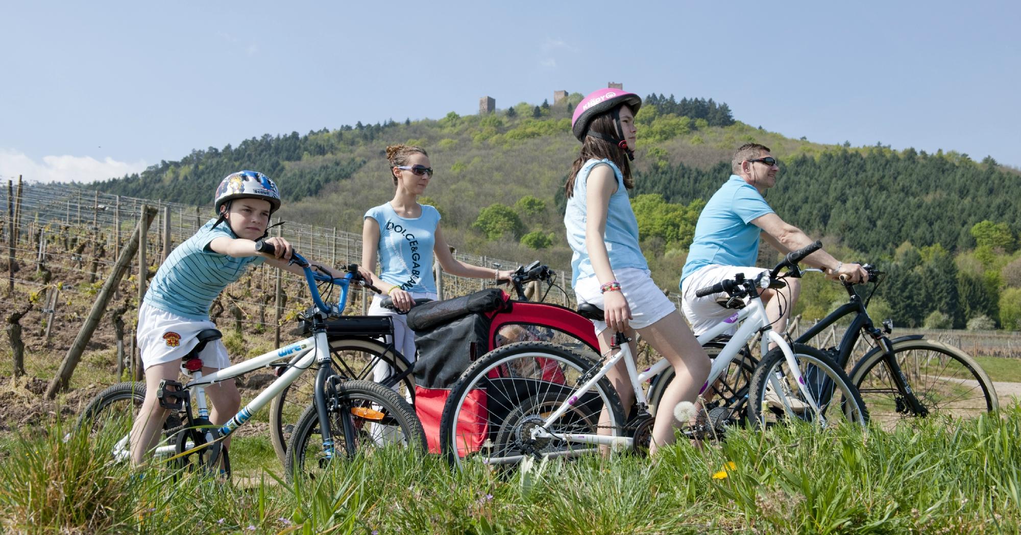 Alsa Cyclo Tours Tripadvisor
