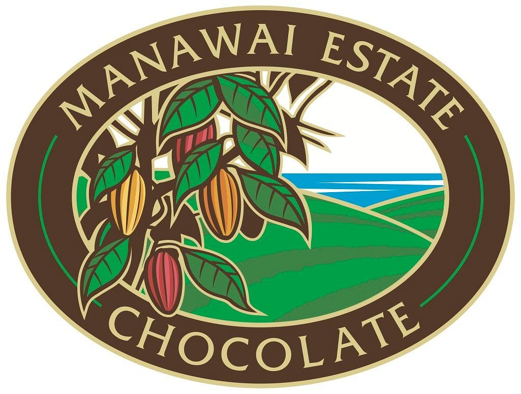 Maui Cacao – The Harvesting Process