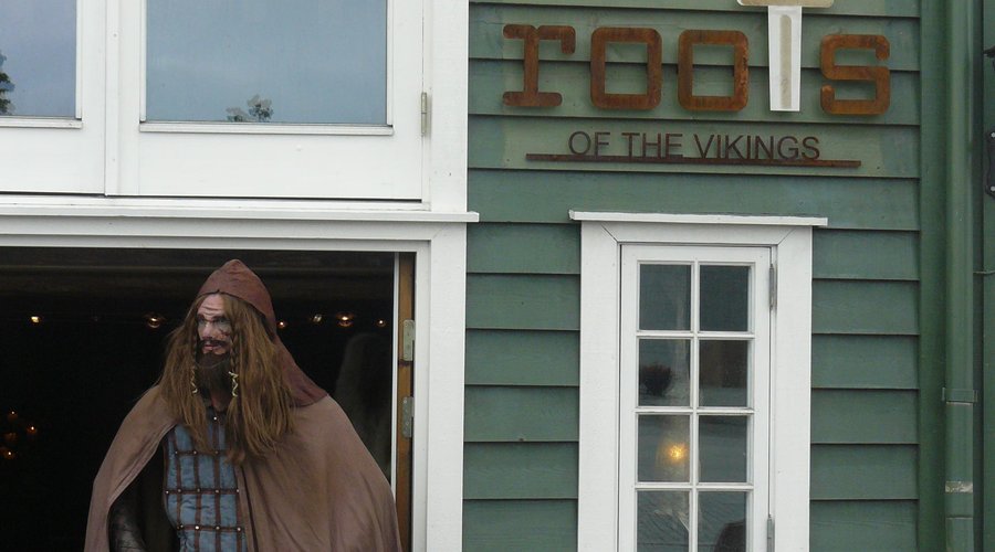 roots of the vikings
