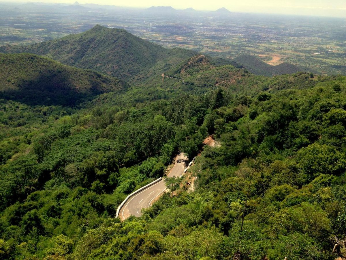 forest-meaning-in-hindi-forest-ka-matlab-kya-hota-hai-forest