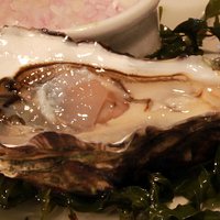 Oysters