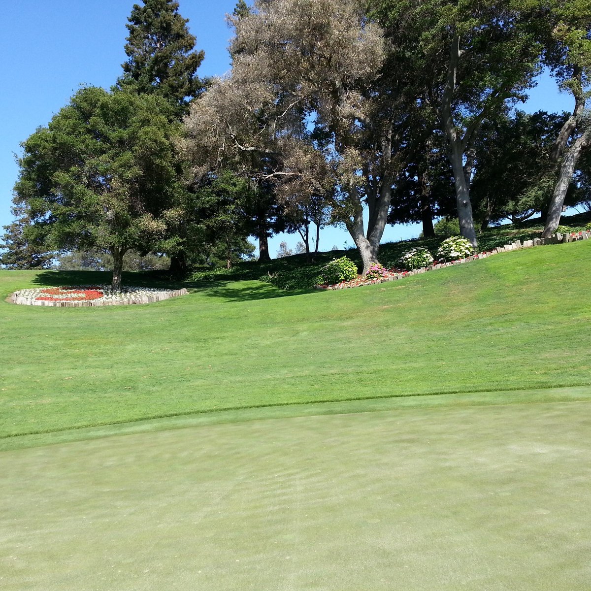 STANFORD UNIVERSITY GOLF COURSE (Palo Alto) Tutto quello che c'è da sapere