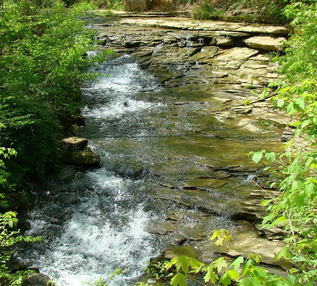 Saunders Springs Nature Preserve (Radcliff) - 2022 Alles wat u moet