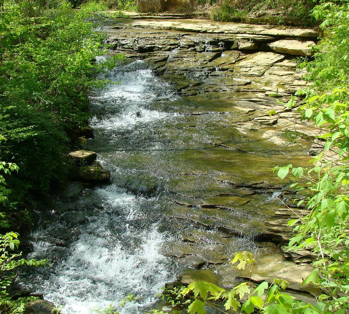 Saunders Springs Nature Preserve (Radcliff) - 2022 Alles wat u moet