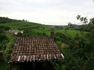Oda ve Süit
