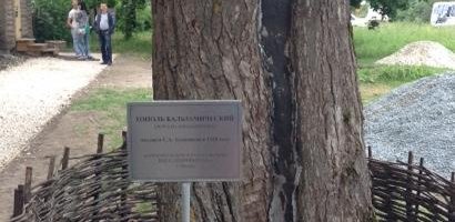 такси в константиново