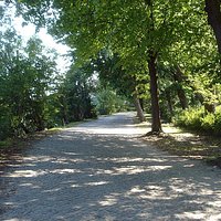 в Курортном парке