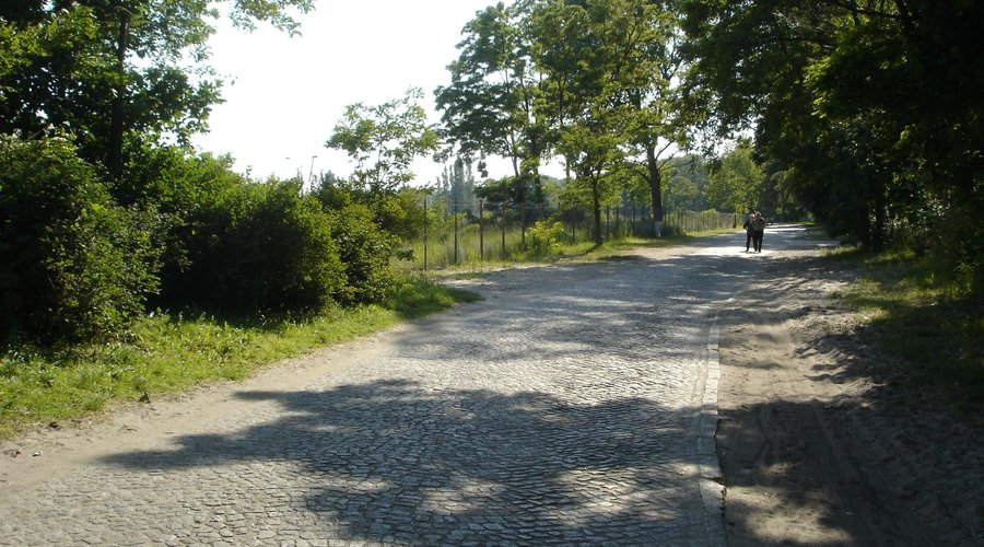 в Курортном парке