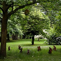 Moon-gazing hares