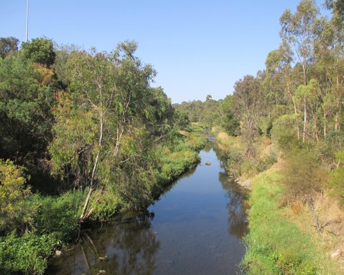 Os 15 Melhores Pontos Turísticos Em Yarra 2024 Tripadvisor 7374