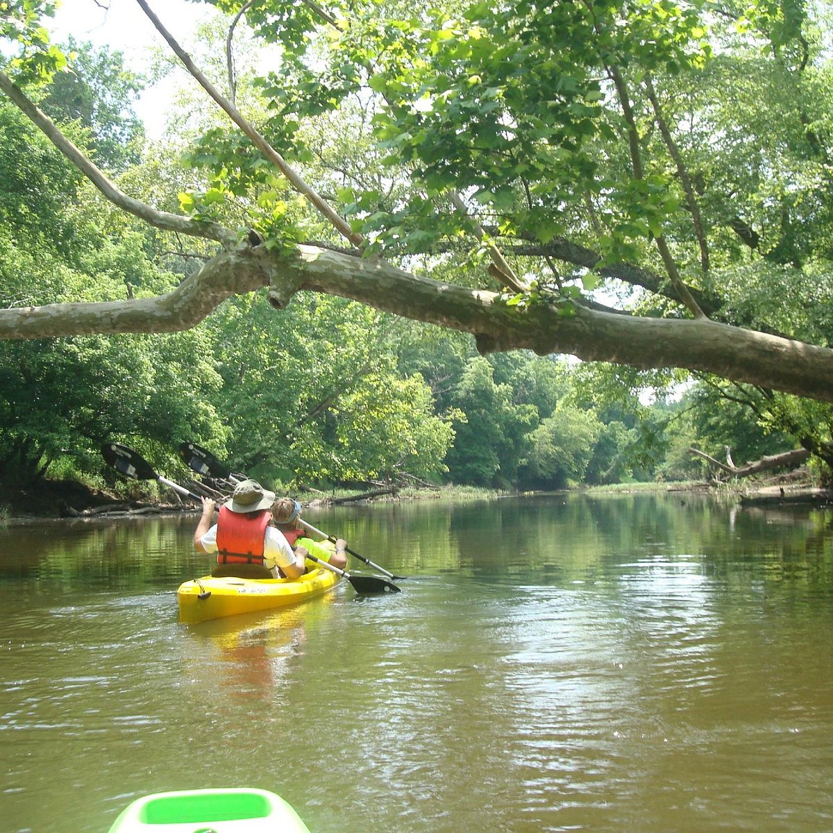 Wake Forest NC. Paddle Creek Lake Road.