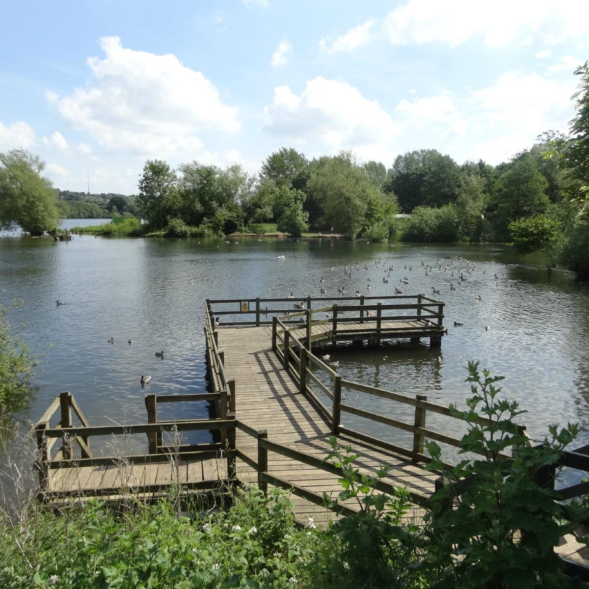 Daventry Country Park - All You Need to Know BEFORE You Go (2025)