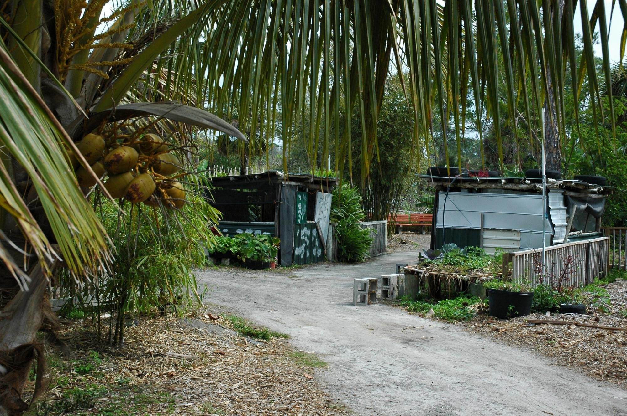 ECHO GLOBAL FARM TOURS (North Fort Myers) Qué SABER antes de ir