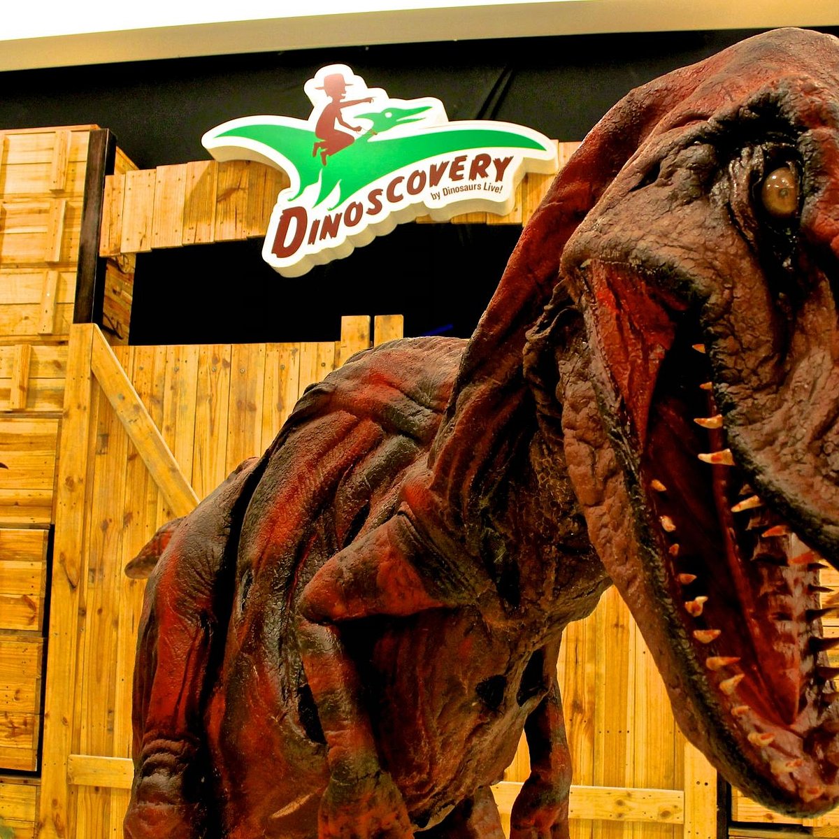 Dinoscovery, Куала-Лумпур: лучшие советы перед посещением - Tripadvisor