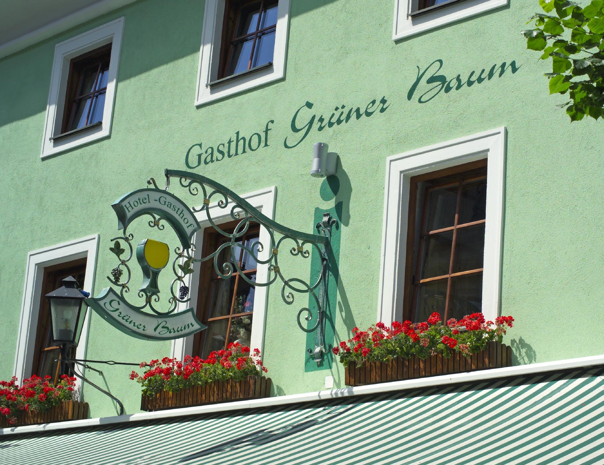 Hotel photo 12 of Hotel Gruener Baum.