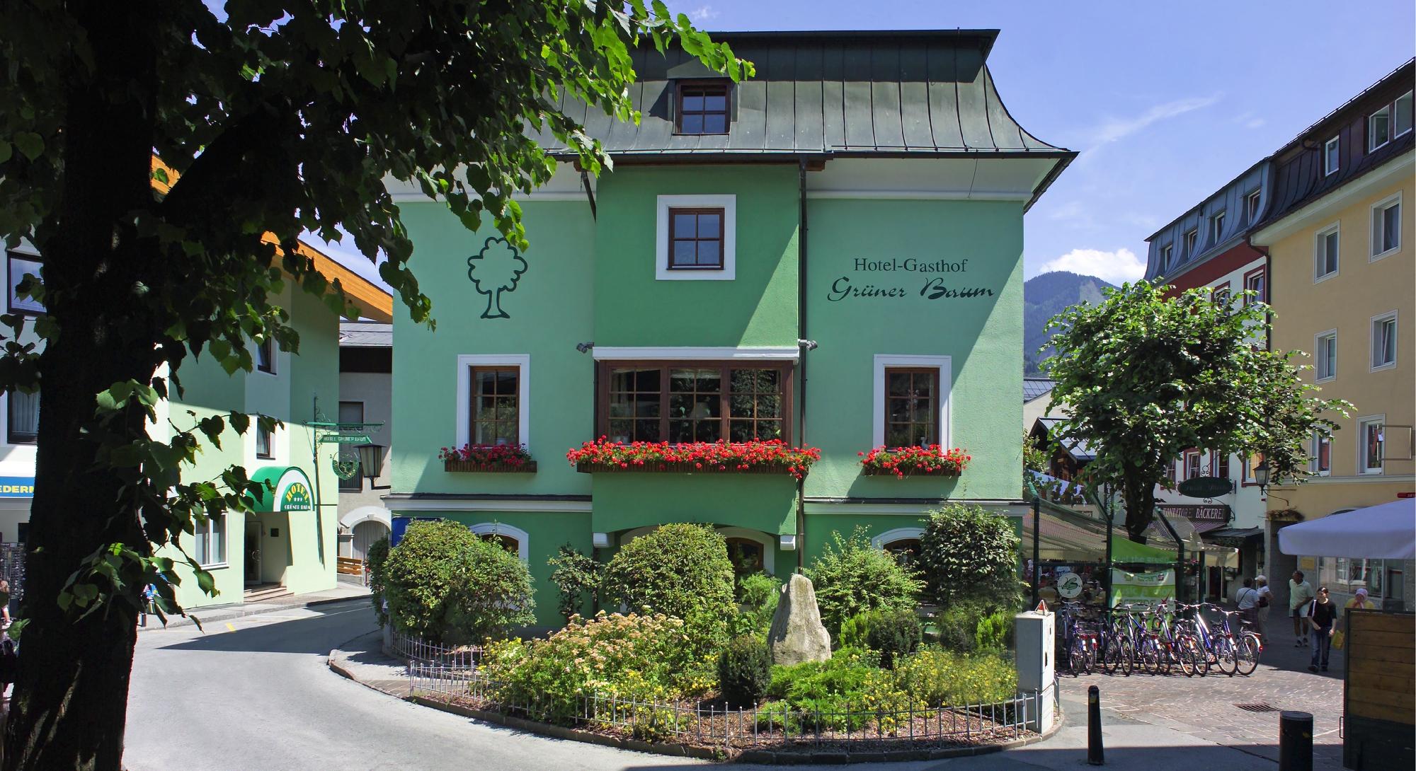 Hotel photo 18 of Hotel Gruener Baum.