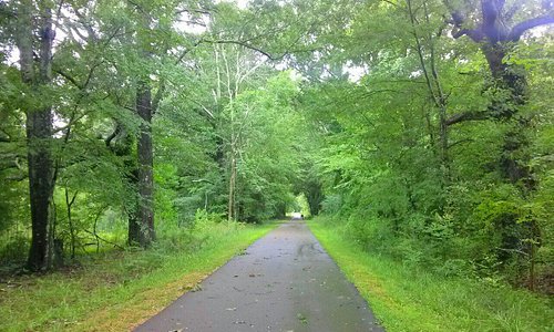 One if the best paved bike riding trails I've seen.