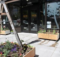 Arts & History Sesqui-Shop Urban Gardens