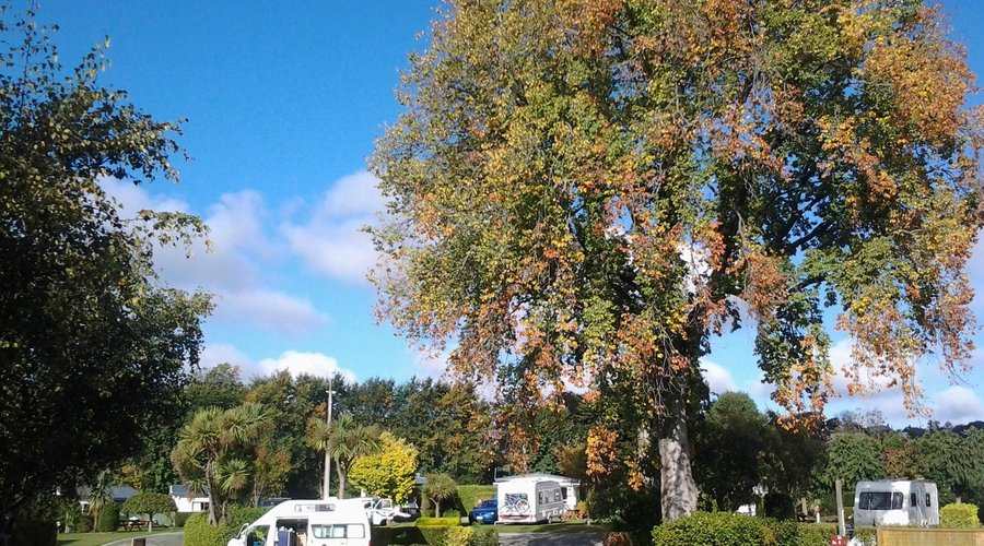 Our lovely park