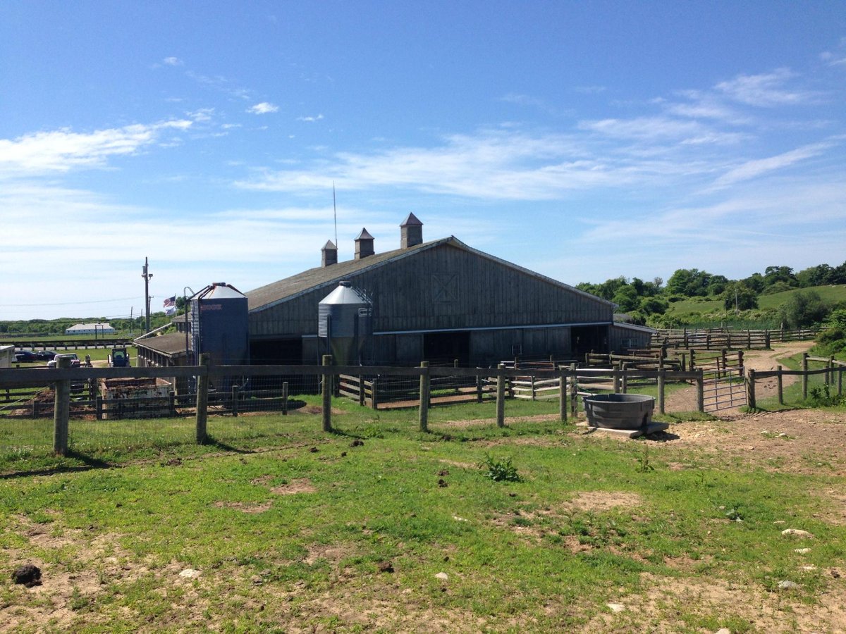 DEEP HOLLOW RANCH (Montauk) - Qué SABER antes de ir (2025)