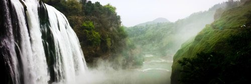Guizhou Lavendar_1107 review images