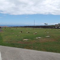 Another nice vire over looking the ocean.