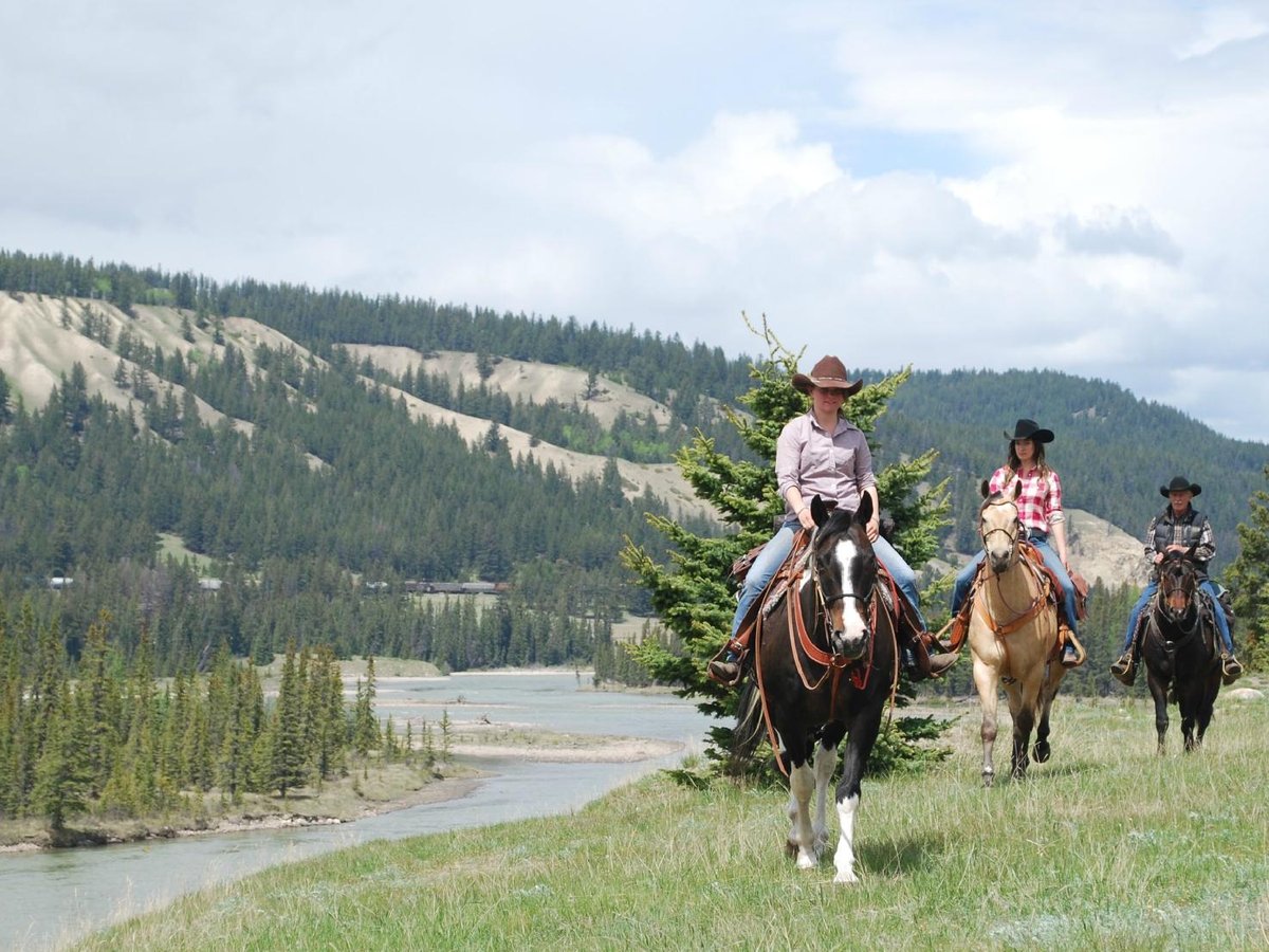 Jasper Park Stables At The Fairmont Jasper Park Lodge - All You Must 