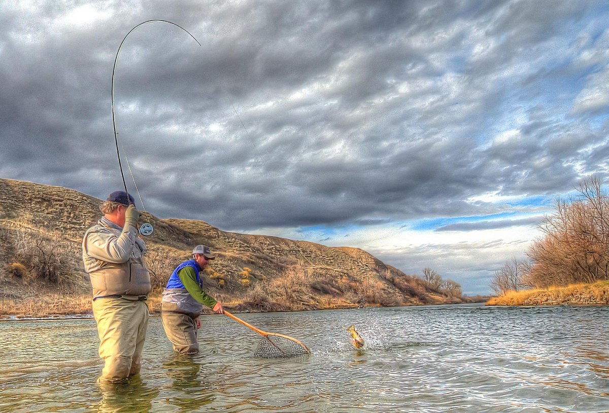 Staff Picks  Bighorn Angler