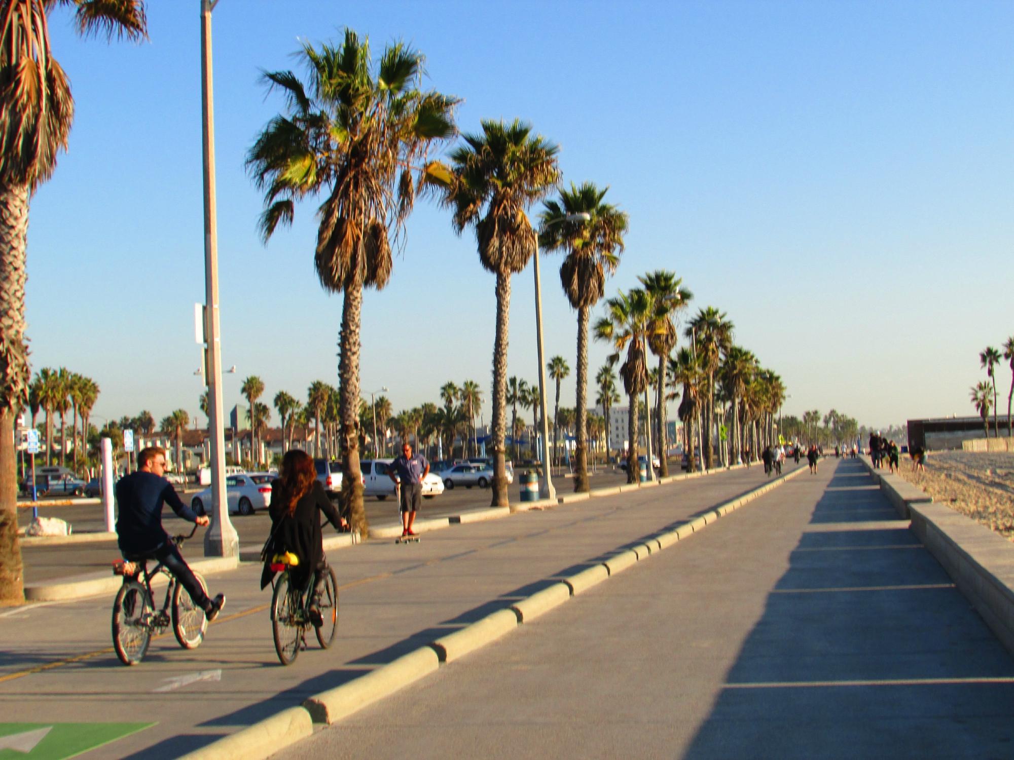 Beach bike shop trails