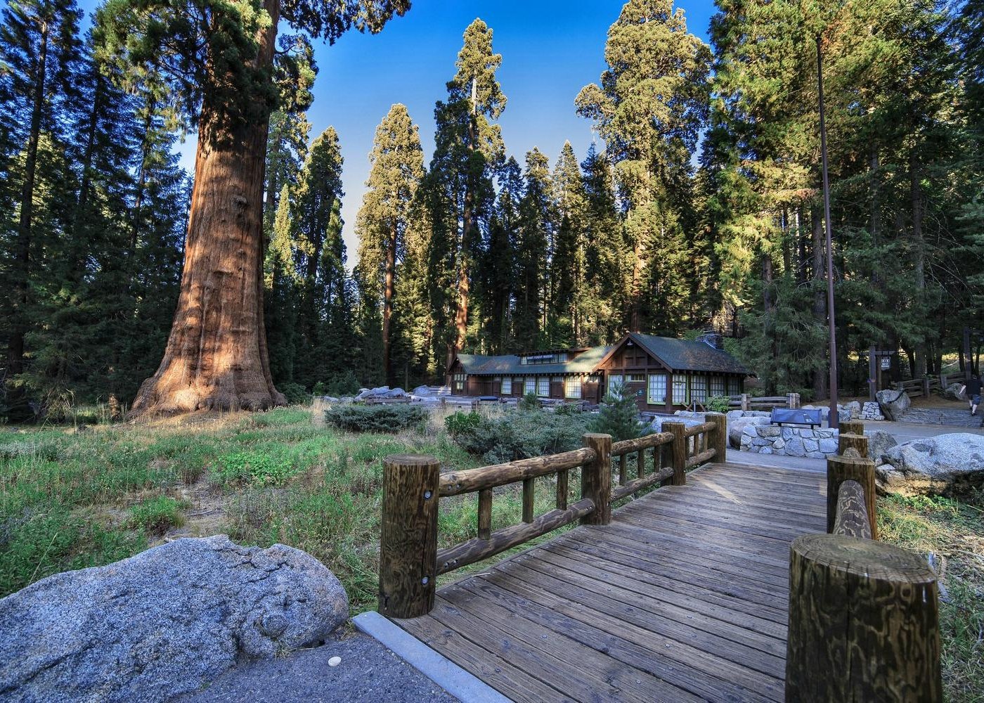 Sequoia and Kings Canyon National Park, CA: All You Must Know Before You Go  (2024) - Tripadvisor