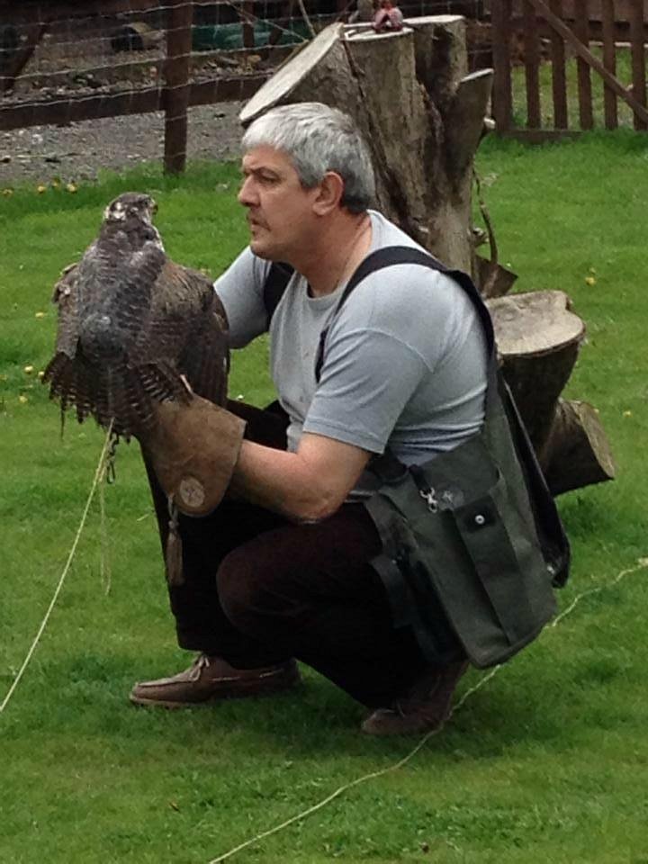 The Falconry Centre, Hagley, West Midlands