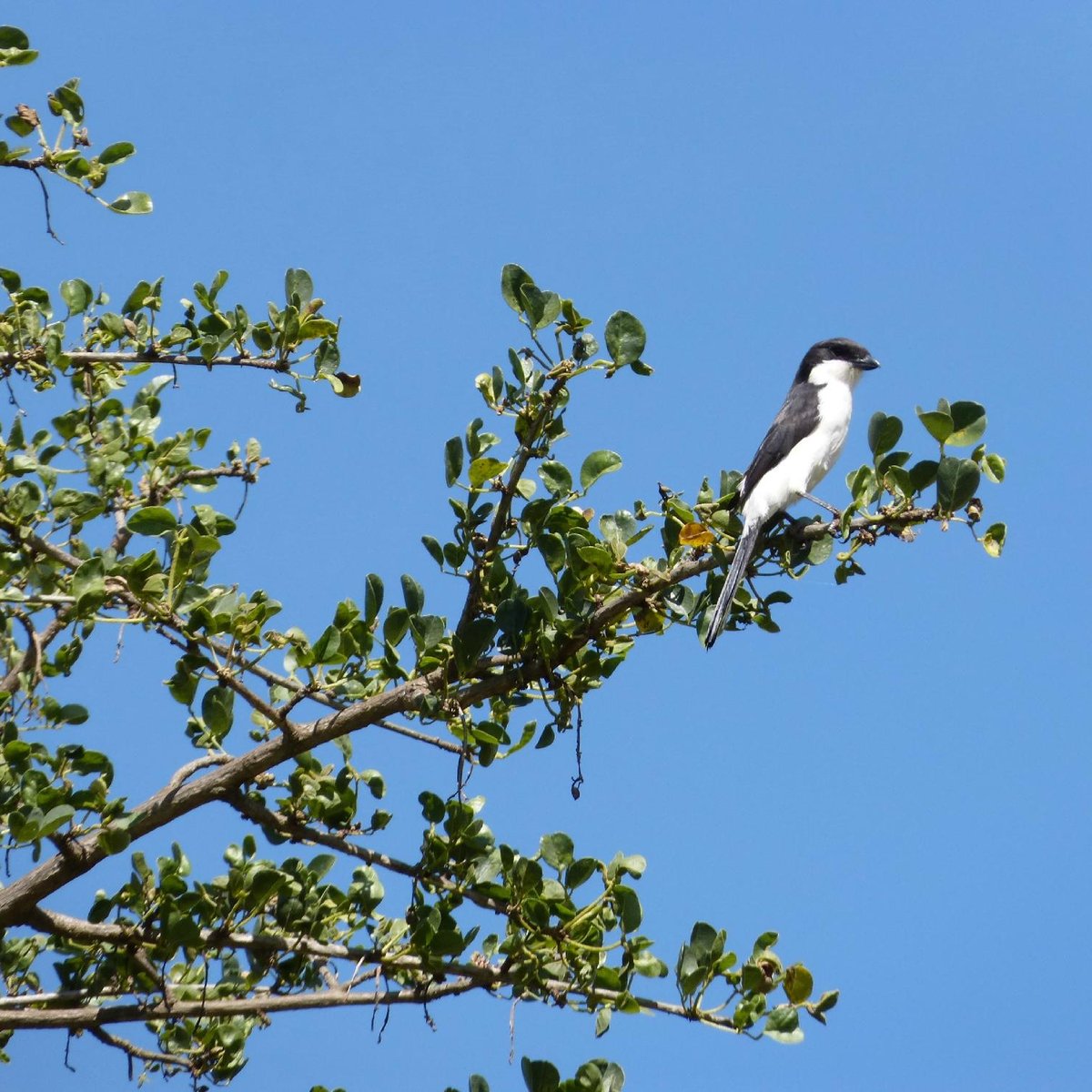 Maanzoni Sanctuary (Machakos) - All You Need to Know BEFORE You Go