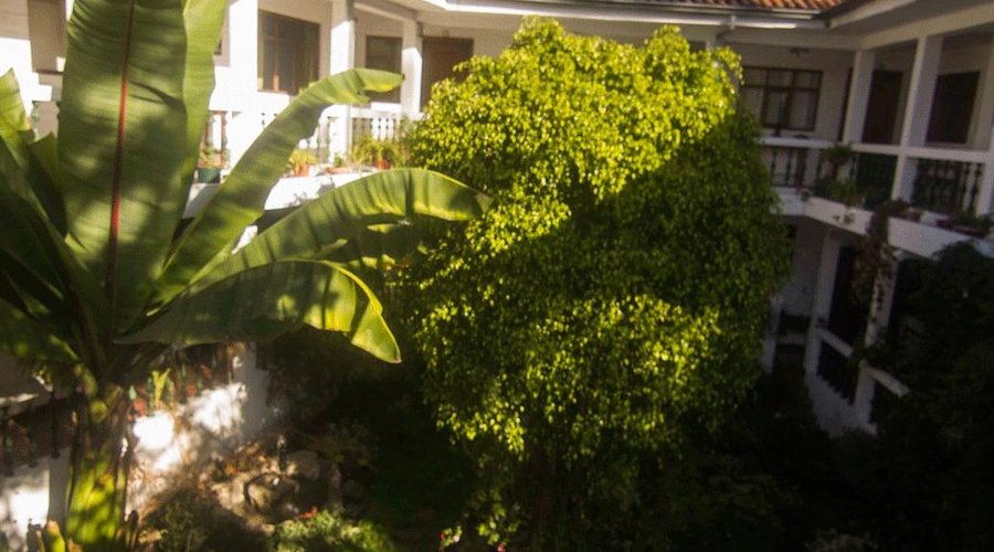 Jardín