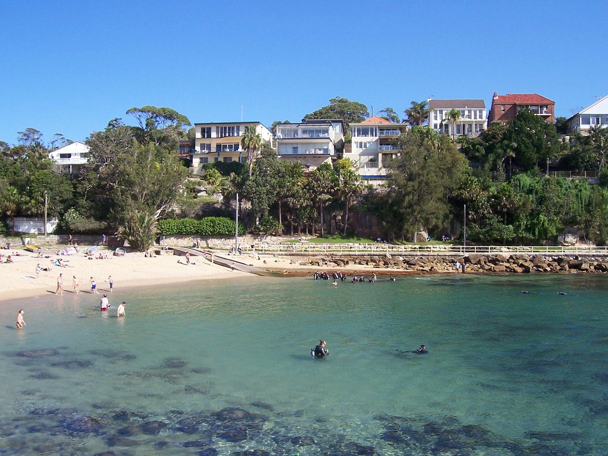 Pro Dive Manly (Brookvale) All You Need to Know BEFORE You Go