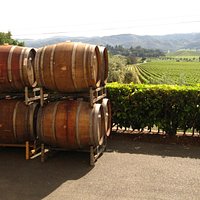 Regusci Winery