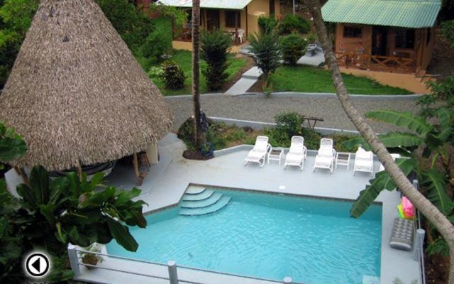 Pool Area Overhead View