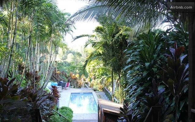 50' salt water pool